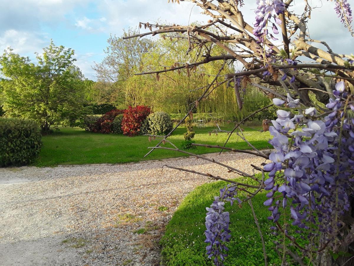 Tour-en-Sologne La Belviniere Chambres Et Table D'Hotes מראה חיצוני תמונה